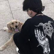 折支柳