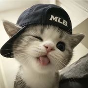 烦