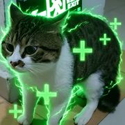 喃鲂养喵人