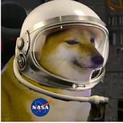 齐天