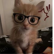 Jerry