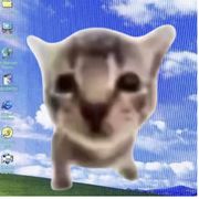 笨蛋^呆呆あ