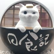 ♀️(⁎⁍̴̛ᴗ⁍̴̛⁎)