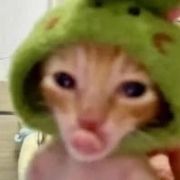 boki