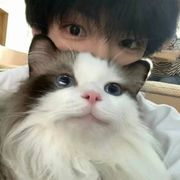 江牧野