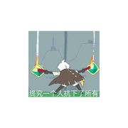起什么名字呢