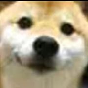 闭麦的学生