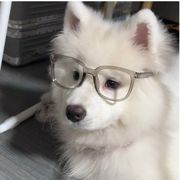 南淮