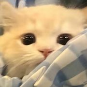 一点就炸