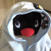 菠萝大王
