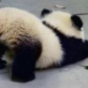 11111