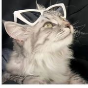 天下事破于行