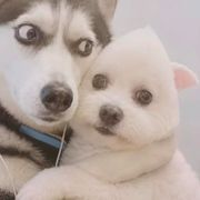 执迷