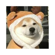 槑槑