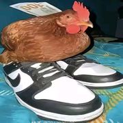 卡死了