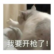 ʕ •ᴥ•ʔ Shi(._.)