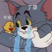 乙女游戏爱好者