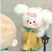Bae_源