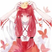 sakura