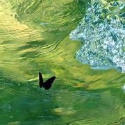 玖万