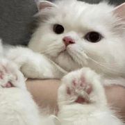 我在东北玩泥巴