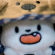 阿飞不会飞