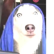 。。。。。。。