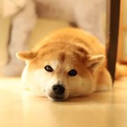 嘎嘣脆