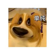 碎碎
