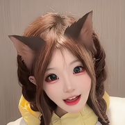 蝴蝶花