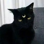 AKatio