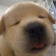 慢吞吞慢吞吞
