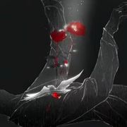 厦门我没什么牵挂