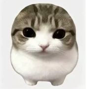 。