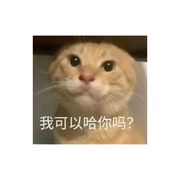 行舟客