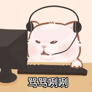 Gamer小韭菜
