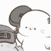 是凡子不是包子