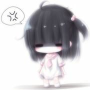 凤仪