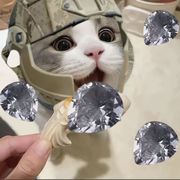 鼠鼠要出红