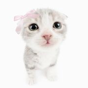 想玩的游戏全部没上线