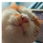 年