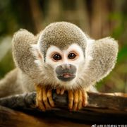 来吃蛋糕吧