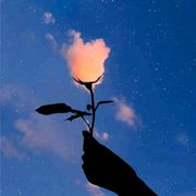 今天你开心嘛