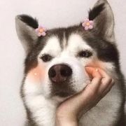 故人归