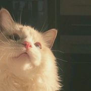 ༄༊࿆墨轩ღ