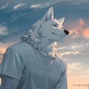 茶酱狼