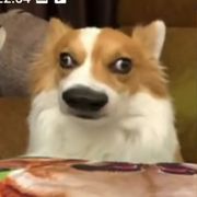12222