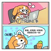 食猫饿犬