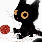 狸 昕.