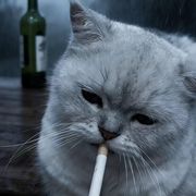 么么打酱油